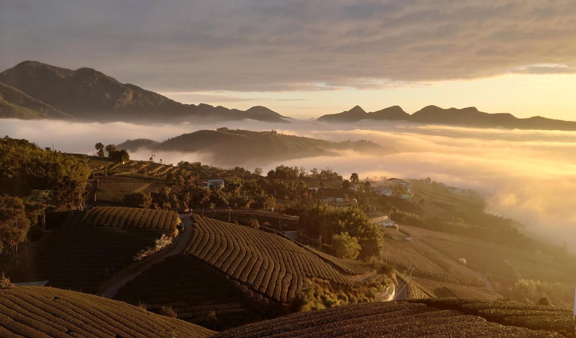 Gaodiyuan Tea B&B 高帝園茶業民宿 Meishan Ngoại thất bức ảnh