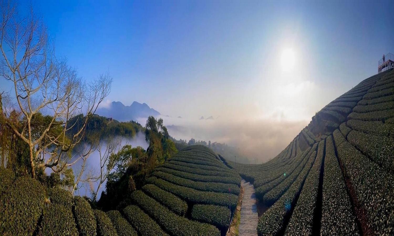 Gaodiyuan Tea B&B 高帝園茶業民宿 Meishan Ngoại thất bức ảnh