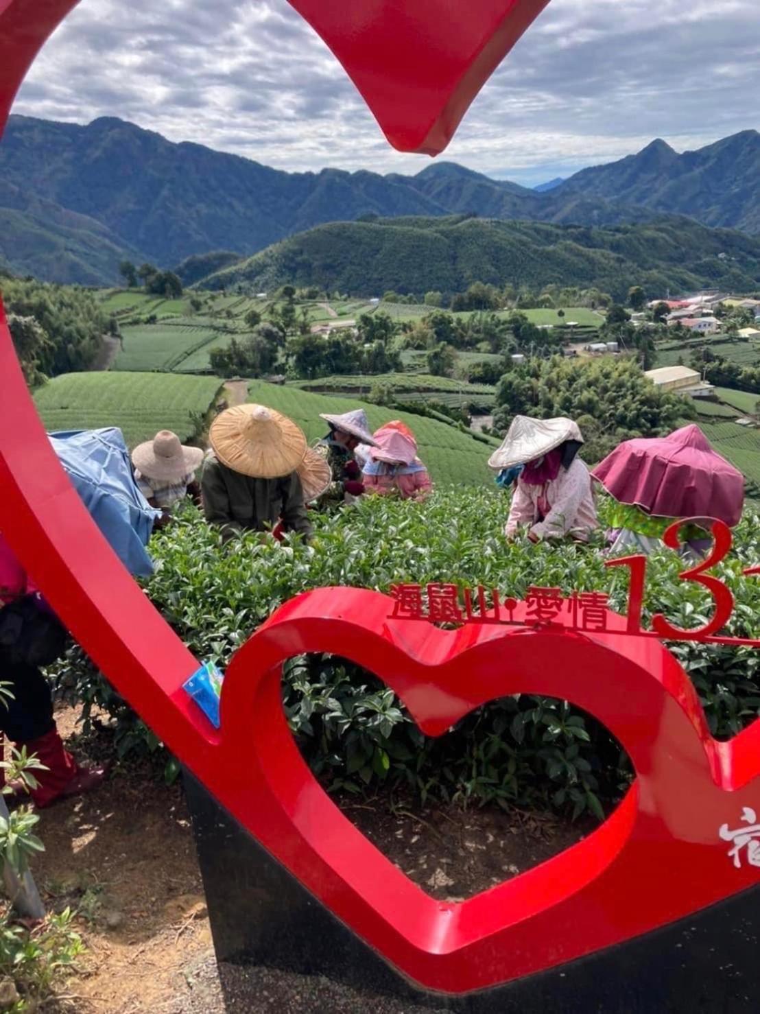 Gaodiyuan Tea B&B 高帝園茶業民宿 Meishan Ngoại thất bức ảnh