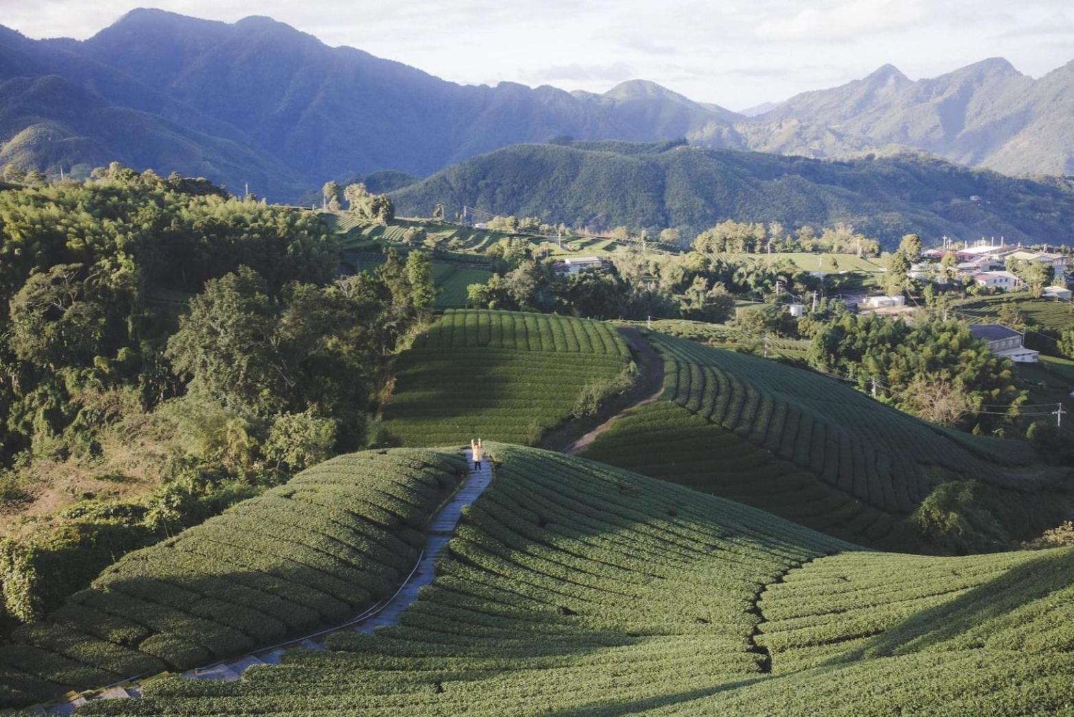 Gaodiyuan Tea B&B 高帝園茶業民宿 Meishan Ngoại thất bức ảnh